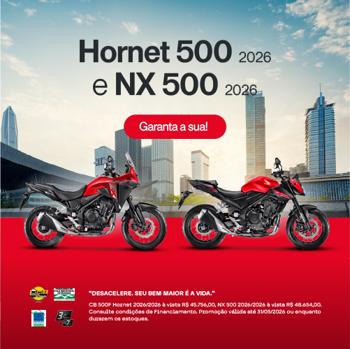 Banner Hornet
