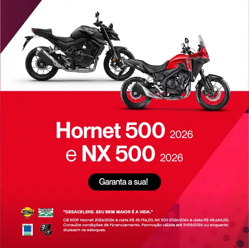Banner Hornet