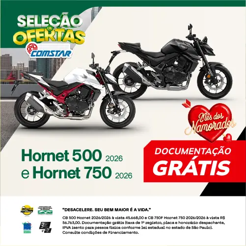 Banner Hornet