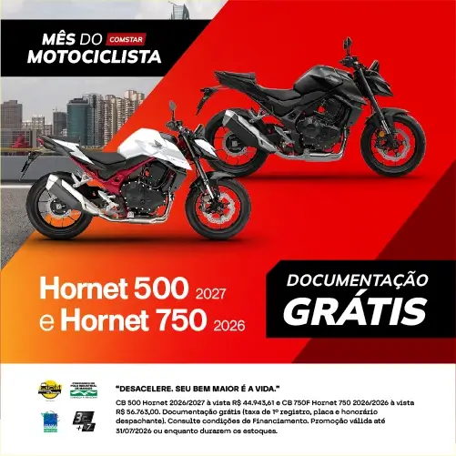 Banner Hornet